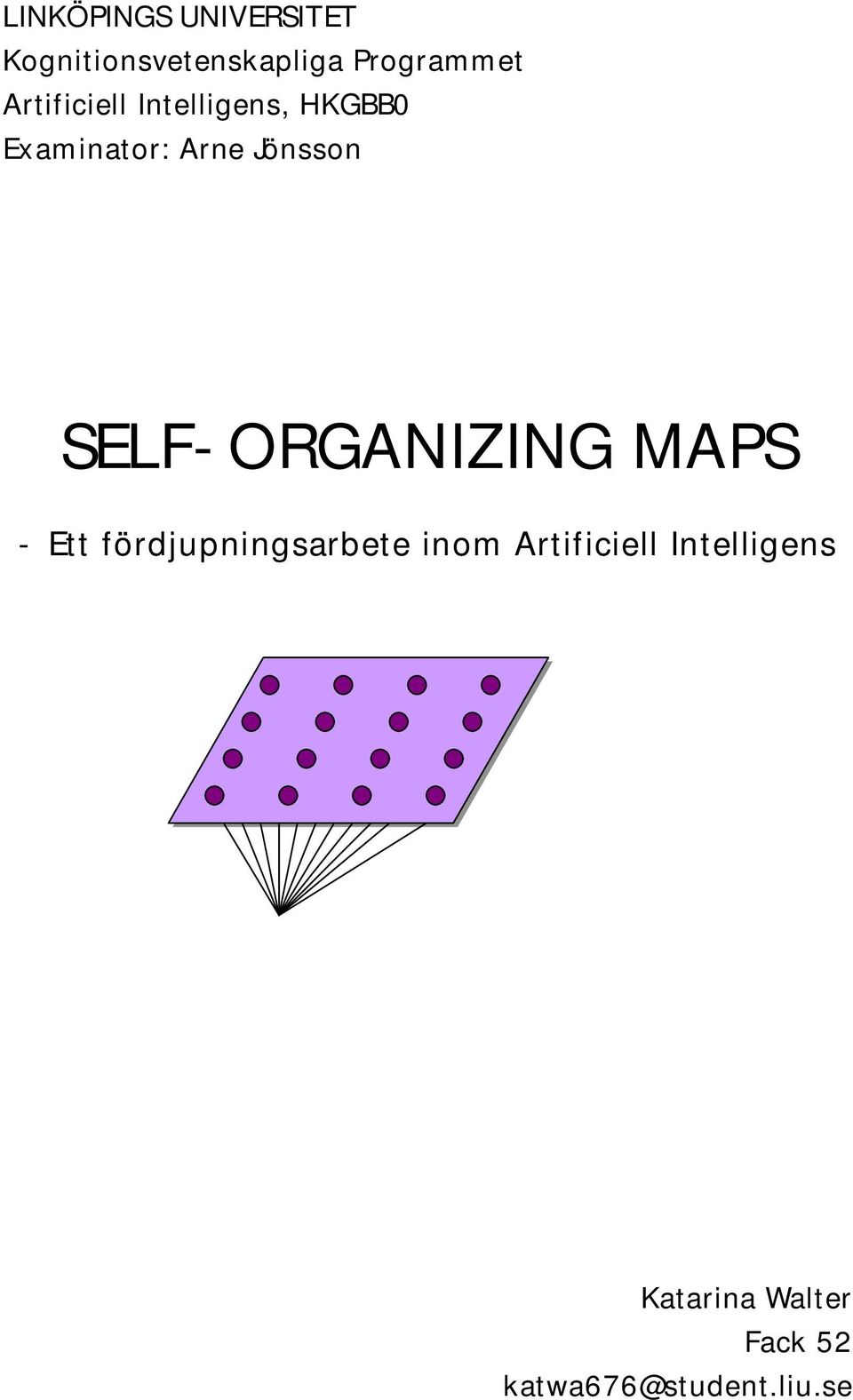ORGANIZING MAPS - Ett fördjupningsarbete inom