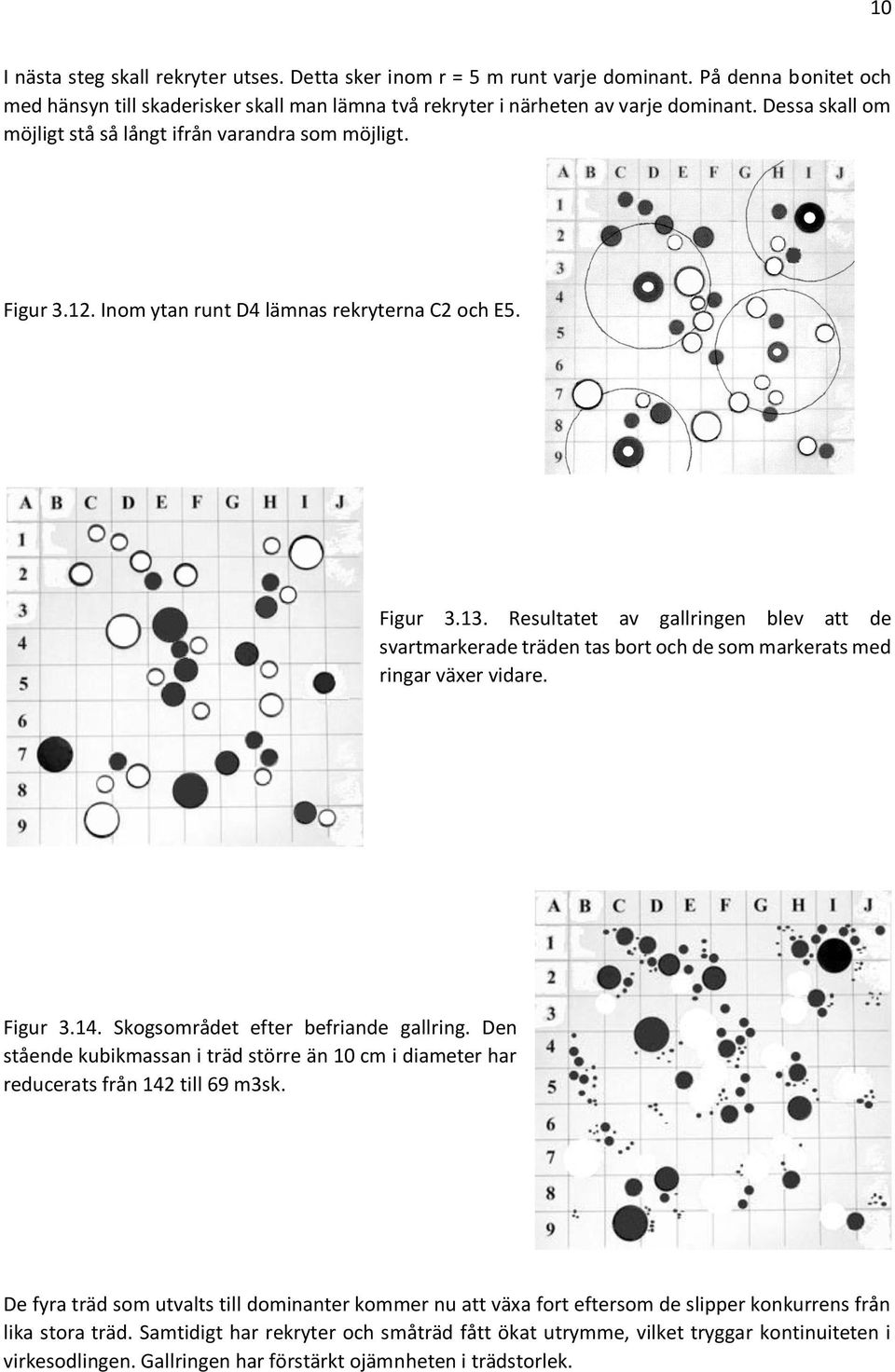 Figur.. Skogsområdet efter befriande gallring. Den stående kubikmassan i träd större än cm i diameter har reducerats från till 9 msk.