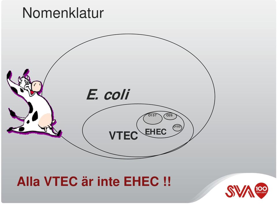 VTEC EHEC O103