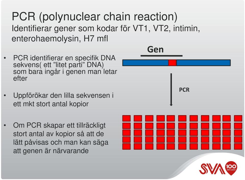 ingår i genen man letar efter Uppförökar den lilla sekvensen i ett mkt stort antal kopior Gen PCR