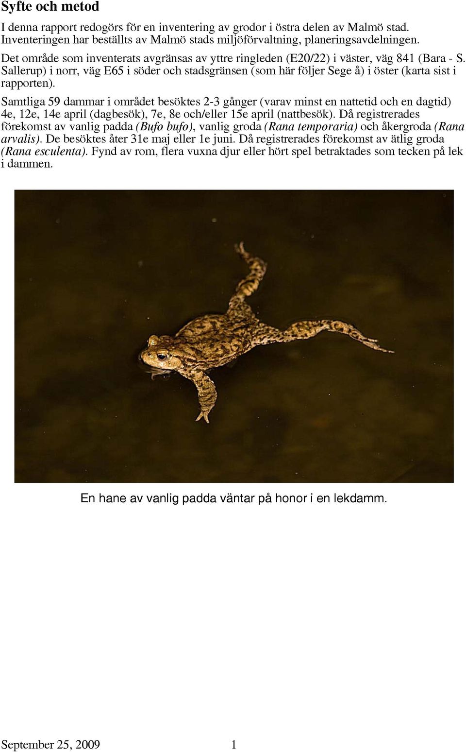 Sallerup) i norr, väg E65 i söder och stadsgränsen (som här följer Sege å) i öster (karta sist i rapporten).