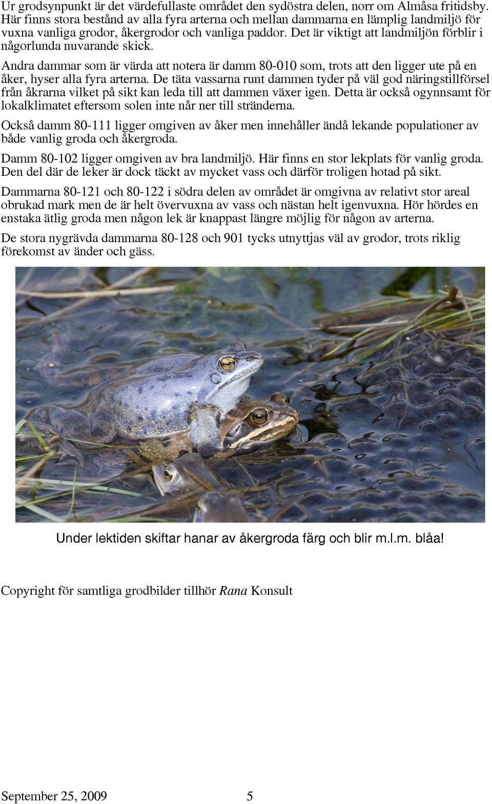 Det är viktigt att landmiljön förblir i någorlunda nuvarande skick. Andra dammar som är värda att notera är damm 80-010 som, trots att den ligger ute på en åker, hyser alla fyra arterna.