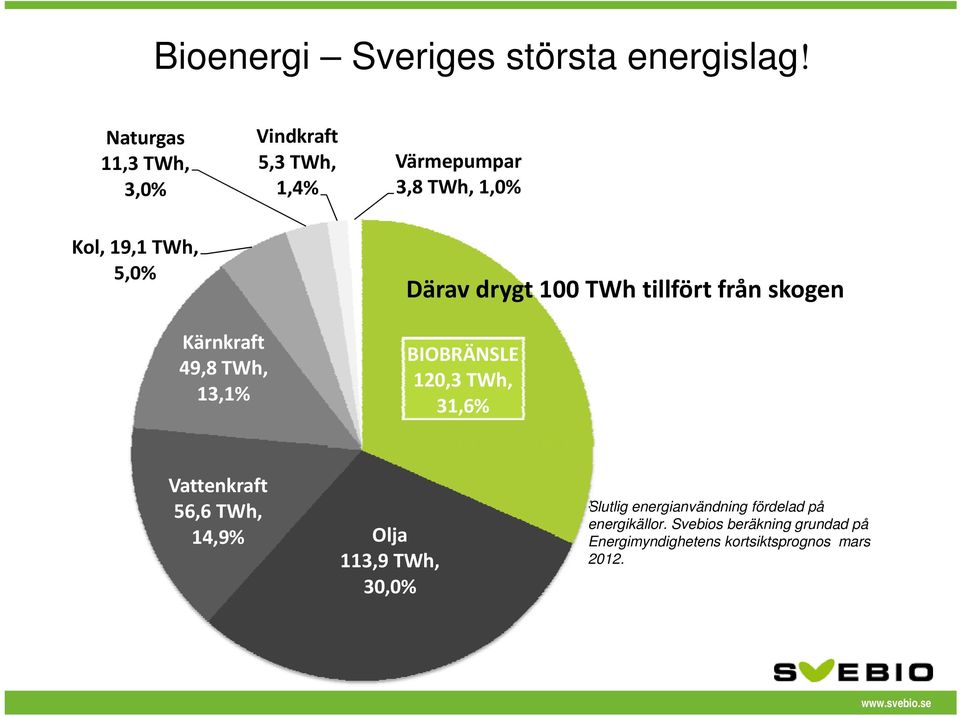 Kärnkraft 49,8 TWh, 13,1% Därav drygt 100 TWh tillfört från skogen BIOBRÄNSLE 120,3 TWh, 31,6%