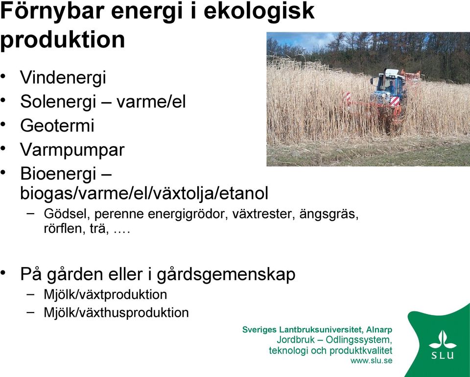 Gödsel, perenne energigrödor, växtrester, ängsgräs, rörflen, trä,.