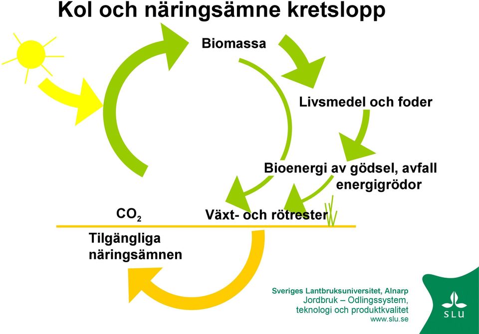 Bioenergi av gödsel, avfall