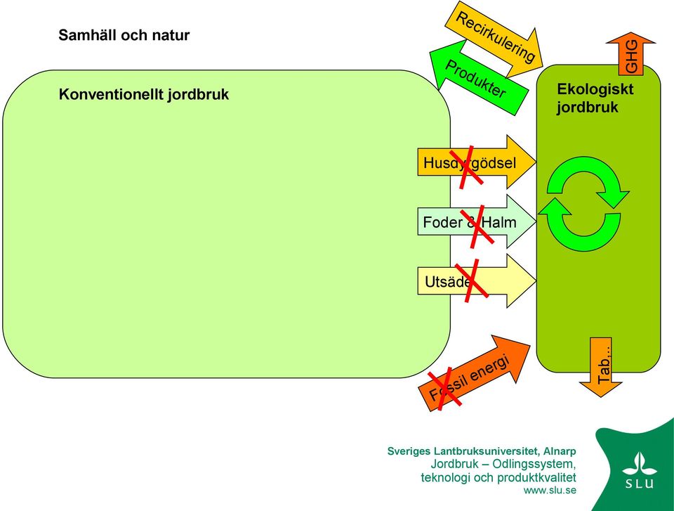 Husdyrgödsel Foder & Halm Utsäde ssi o