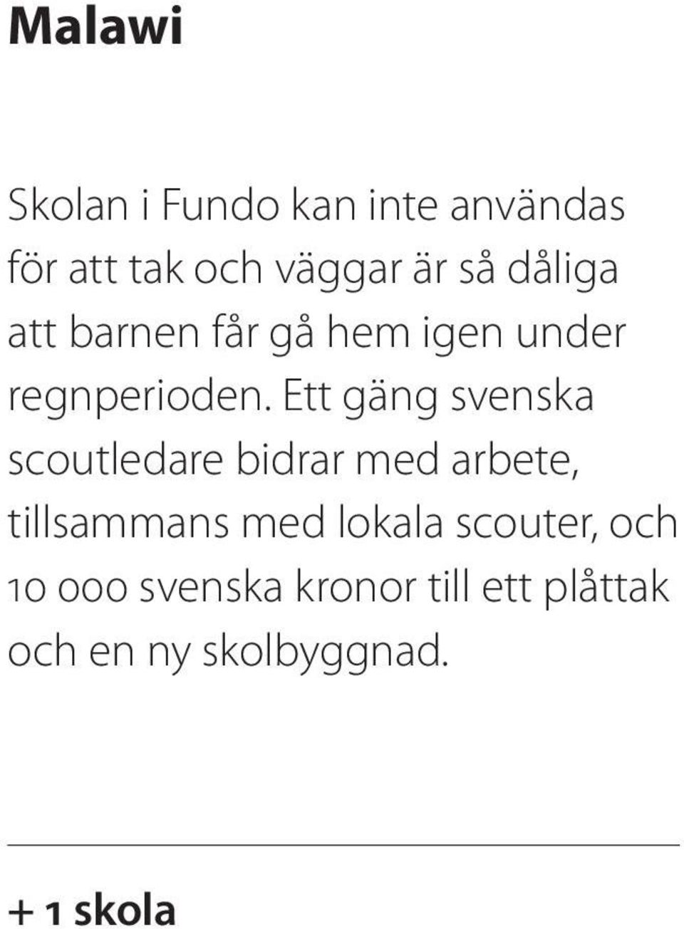 Ett gäng svenska scoutledare bidrar med arbete, tillsammans med