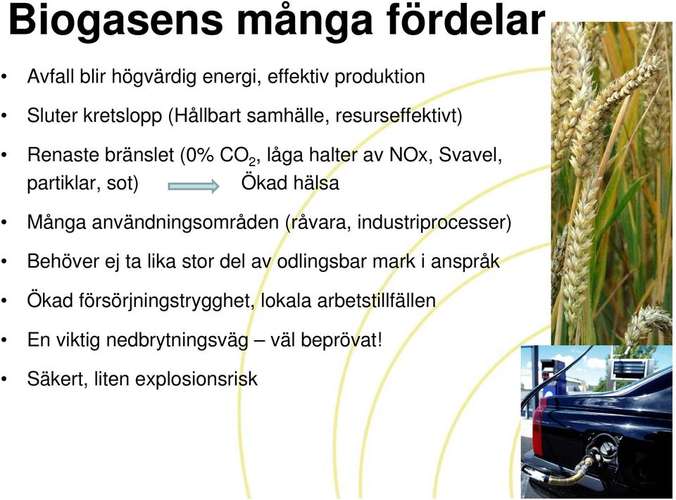 Många användningsområden (råvara, industriprocesser) Behöver ej ta lika stor del av odlingsbar mark i anspråk