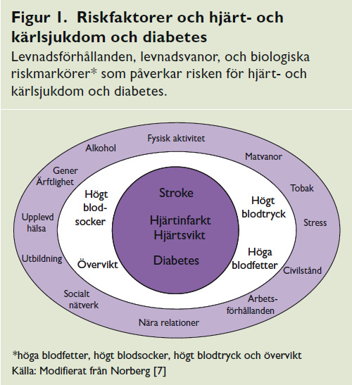 Trots att utvecklingen av hjärt- och kärlsjukdomar hittills är positiv finns det anledning till viss oro för den framtida utvecklingen därför att övervikt har blivit vanligare.