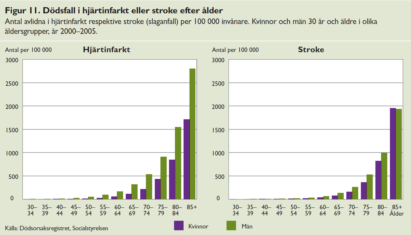 Hjärtinfarkterna har minskat stadigt sedan början av 1980-talet, men det var först från slutet av 1990- talet som insjuknandet och dödligheten i stroke minskade kraftigt (figur 14).