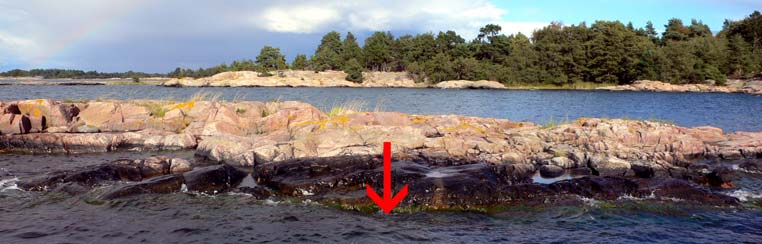 Bild 2. Hällen väster om Röbraskär med transektens startpunkt markerad. Foto Jonas Edlund. Beskrivning Transekten är måttligt exponerad.