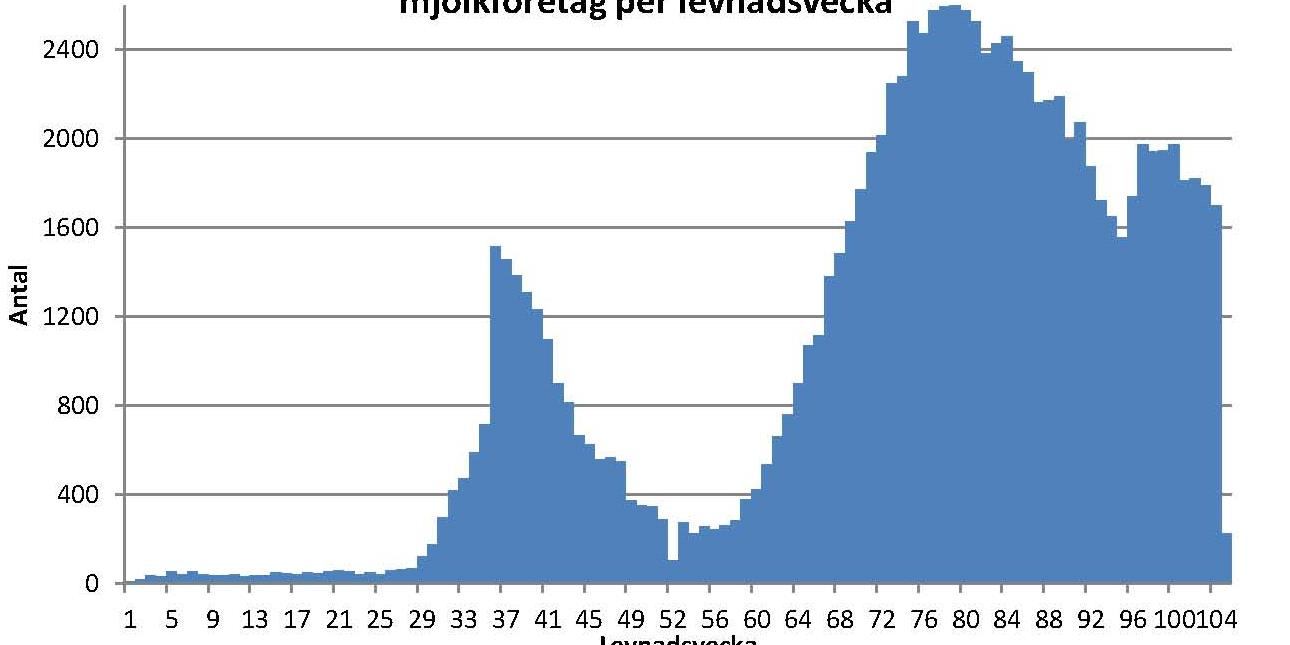 Nuläge uppfödningsintensitet ex.