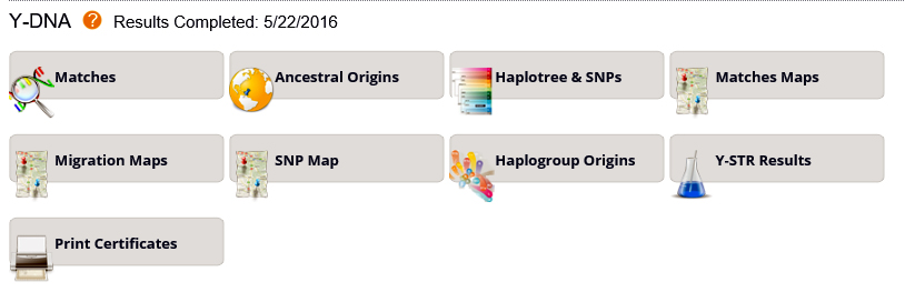 7. Y-DNA test, den raka faderslinjen Kan endast göras av män och testet analyserar det Y-DNA som finns i Y-kromosom som ärvs från far till son och av alla manliga ättlingar och kan därför inte