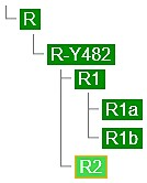 8.3.1 YDNA-trädet Trädet, vinklat något har hämtats från https://www.yfull.com/tree/ och är version Haplogroup YTree v4.10 at 06 November 2016.