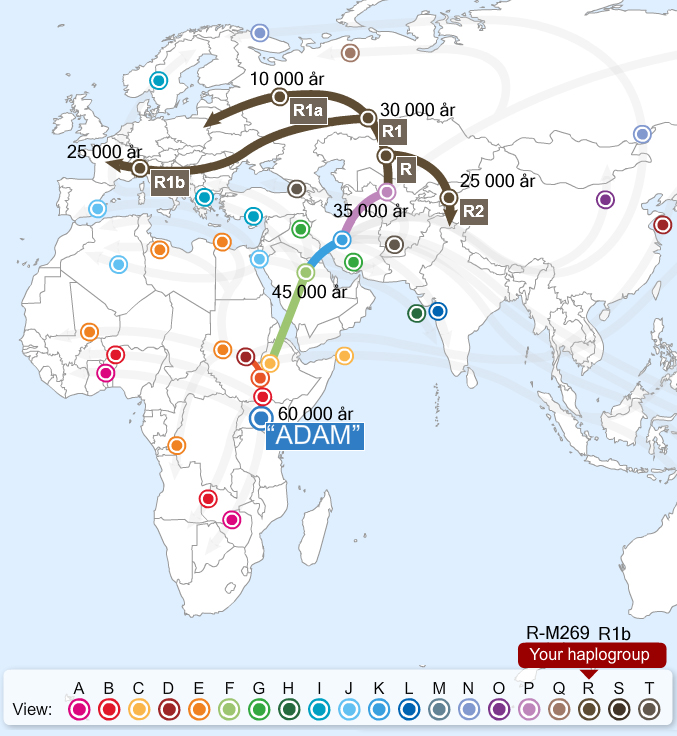 8.5 Migration Maps, min haplogrupps urspung från Afrika. Karta visar din haplogrupps ursprung och var den är mest förekommande idag.