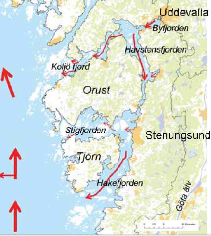 5. Miljöpåverkan Hakefjorden är mellan 10-30 m, men framförallt östsidan längs fastlandet utgörs delvis av grundområden. Längs Tjörnsidan är strandlinjen generellt brantare.