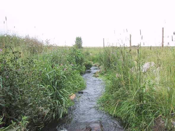 Bilaga 1 Foto, lokaler Lokal 1.