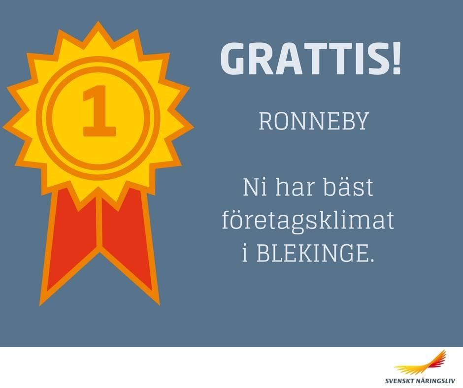 Ronneby har tagit klivit upp och har nu det bästa företagsklimatet i Blekinge. Det beror bland annat på att de har satt ett ökat fokus på företagsfrågorna.