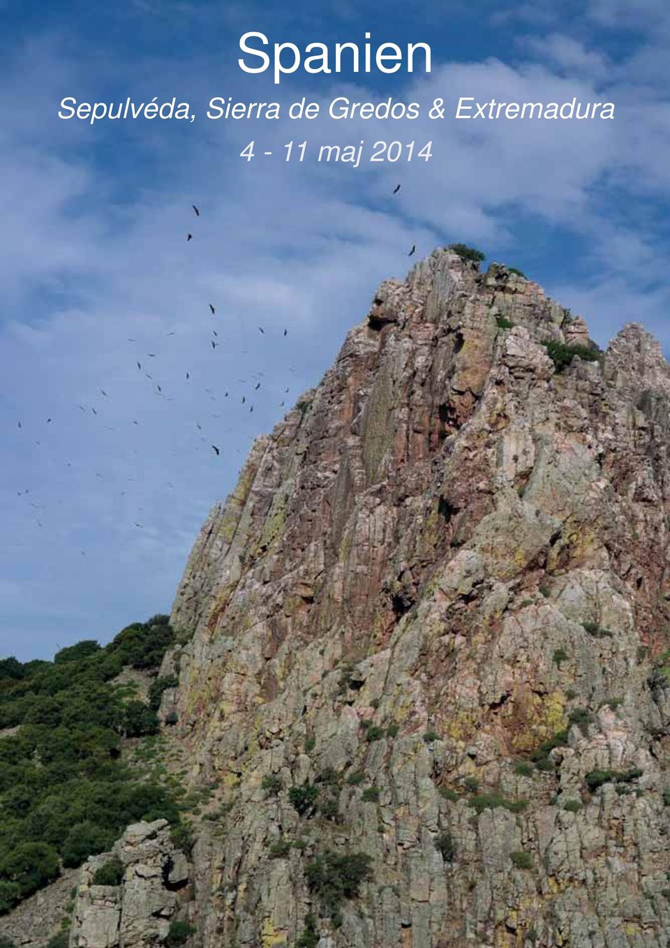 Sierra de
