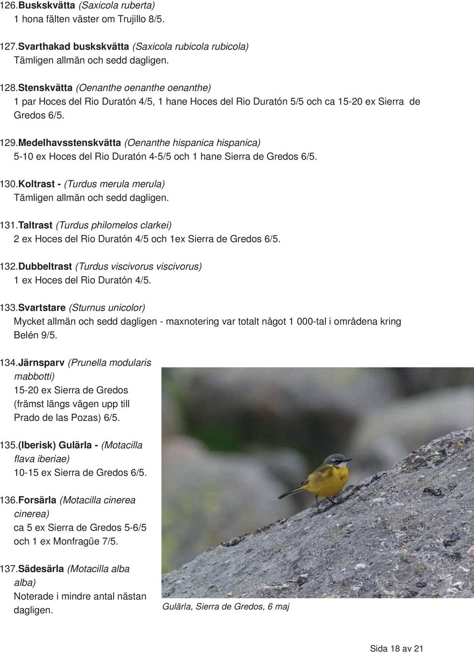 Medelhavsstenskvätta (Oenanthe hispanica hispanica) 5-10 ex Hoces del Rio Duratón 4-5/5 och 1 hane Sierra de Gredos 6/5. 130.Koltrast - (Turdus merula merula) Tämligen allmän och sedd dagligen. 131.