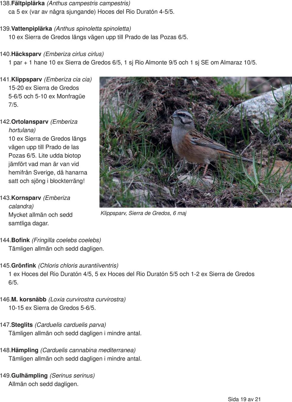 Häcksparv (Emberiza cirlus cirlus) 1 par + 1 hane 10 ex Sierra de Gredos 6/5, 1 sj Rio Almonte 9/5 och 1 sj SE om Almaraz 10/5. 141.