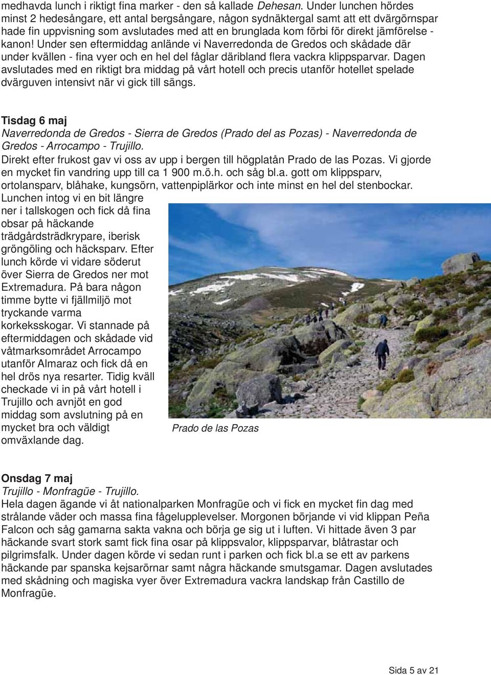 kanon! Under sen eftermiddag anlände vi Naverredonda de Gredos och skådade där under kvällen - fina vyer och en hel del fåglar däribland flera vackra klippsparvar.
