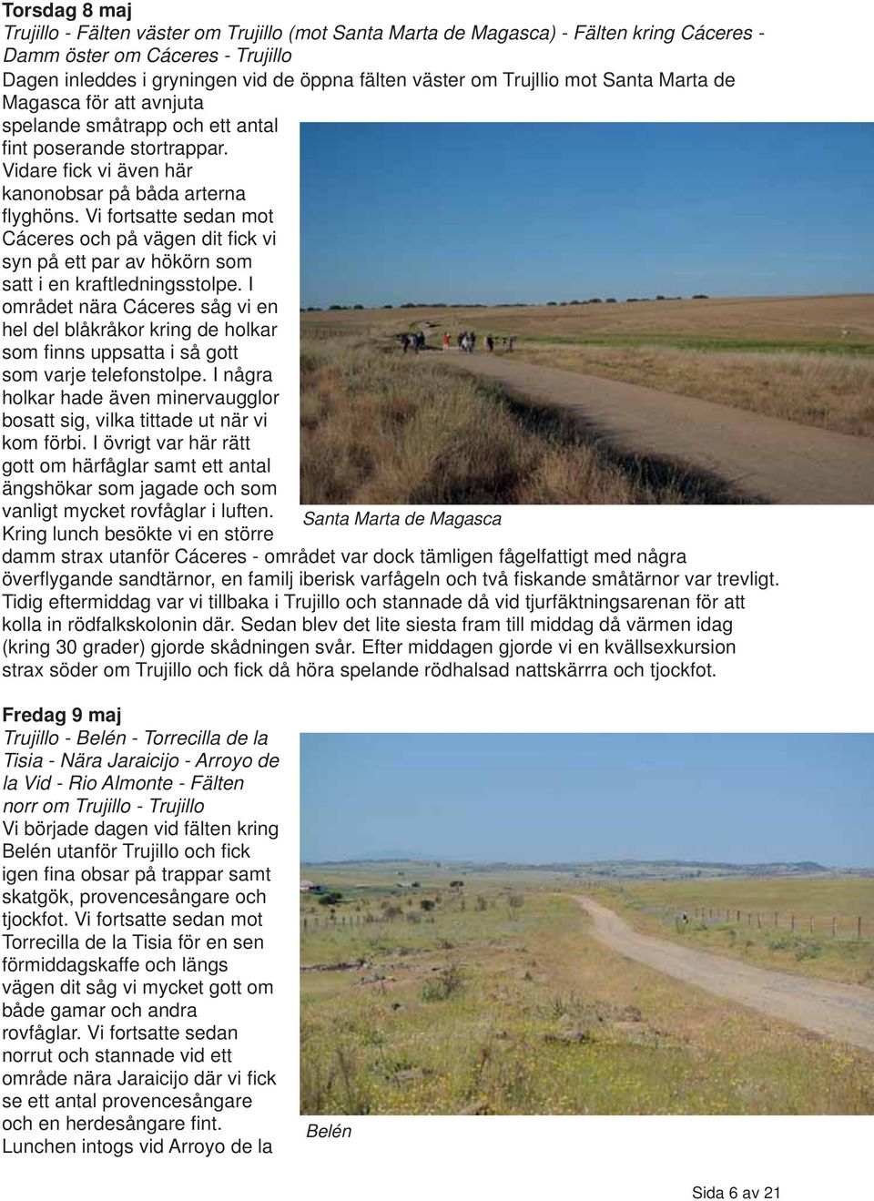 Vi fortsatte sedan mot Cáceres och på vägen dit fick vi syn på ett par av hökörn som satt i en kraftledningsstolpe.