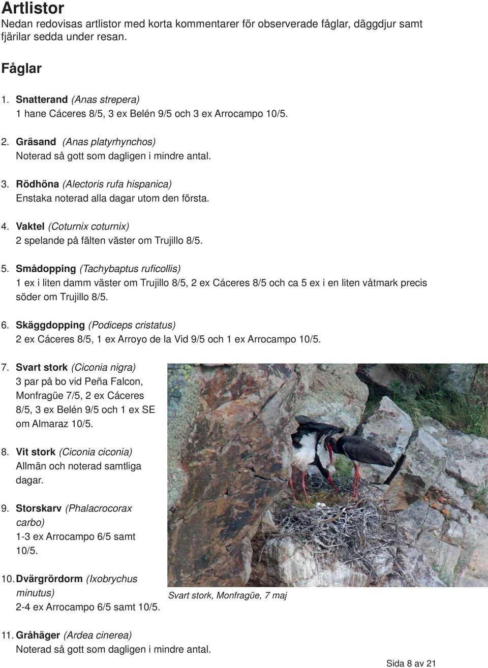 4. Vaktel (Coturnix coturnix) 2 spelande på fälten väster om Trujillo 8/5. 5.