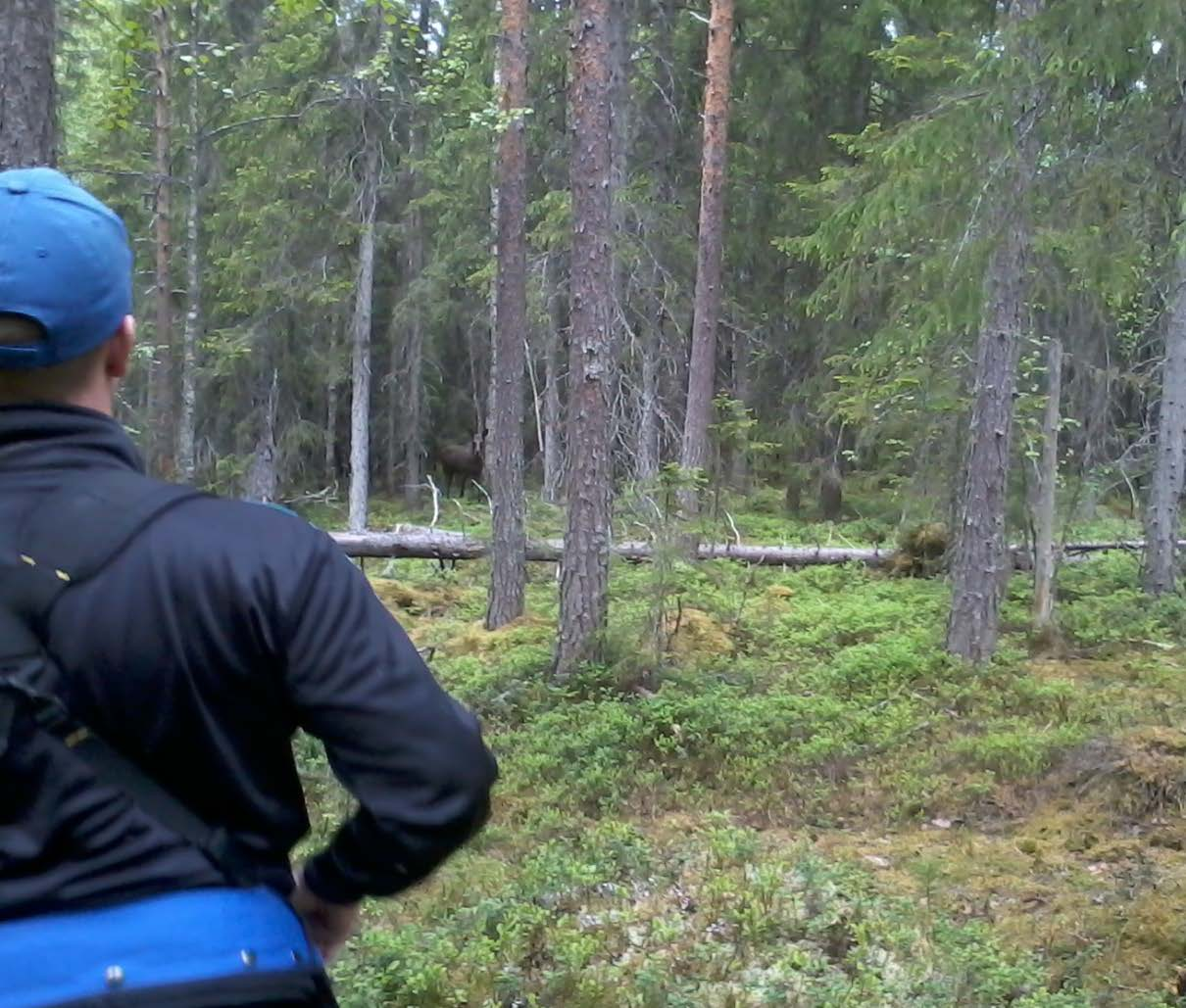 SKOGSMÄSTARPROGRAMMET Examensarbete 2012:06 Utvärdering av traktplanering på SCA Skog Analysis of planning at SCA Forest Mattias Sjödin