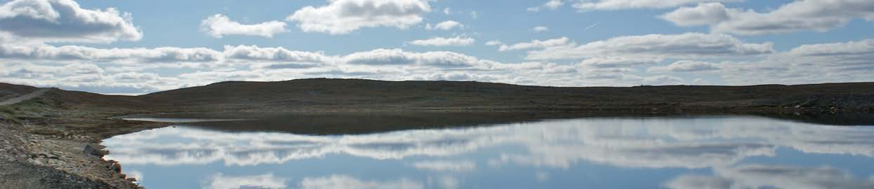 Bokslutskommuniké för helåret 2011 Informationen är sådan som Arctic Gold AB (publ) skall offentliggöra enligt lagen om värdepappersmarknaden och/eller lagen om handel med finansiella instrument.