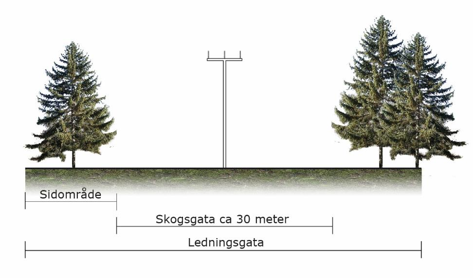 Figur 4. Illustration av 40 kv ledning samt principiellt utförande av ledningsgata för luftledningar. För en luftledning krävs en trädsäker ledningsgata.