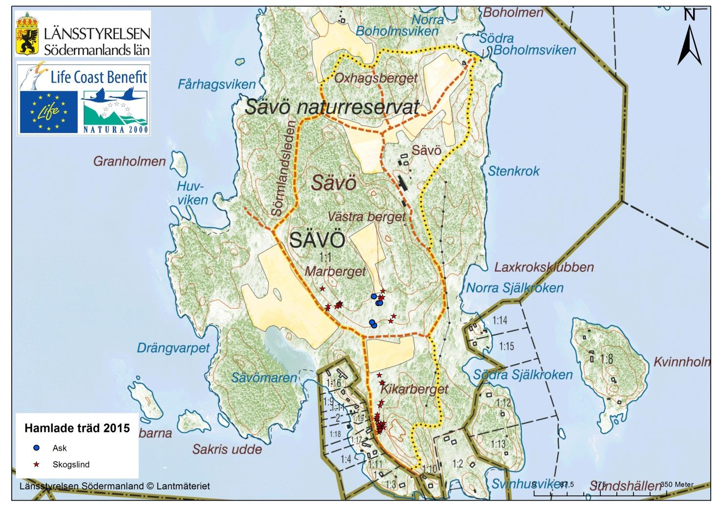 Karta 3. Karta över träd hamlade på Sävö under 2015. Tabell 5. Antal hamlade träd av respektive trädslag på Sävö. Trädslag Antal Skogslind 39 Ask 6 Tabell 6.