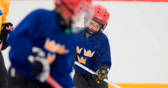 TRE KRONORS HOCKEYSKOLA (TKH) Verksamheten skall präglas av ishockeyns basfärdigheter, allt enligt Svenska ishockeyförbundets riktlinjer för åldersgrupperna och enligt den utbildningsmodell som finns