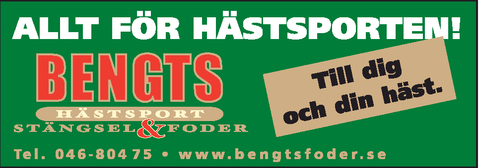 Klass 1. 1-årig hingst Nr.1. Slättens Hälge 30-06-0468, bleksvart, vhip Ägare: Veronica Pettersson, Tönnersa Pl 1328, 310 31 Eldsberga, tel 035-464 29 Tomtebos Enoc G 481 Mary 4206 Allg.