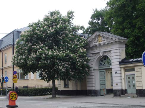 3. 1 7. 6 4. 9 5. 3 5. 0 3. 5 5. 3 6. 8 3. 8 4. 9 2. 6 4. 2 3. 3 2. 9 2. 9 SERAFIMERN (7) Mål Bevara och utveckla nuvarande karaktär och värden.