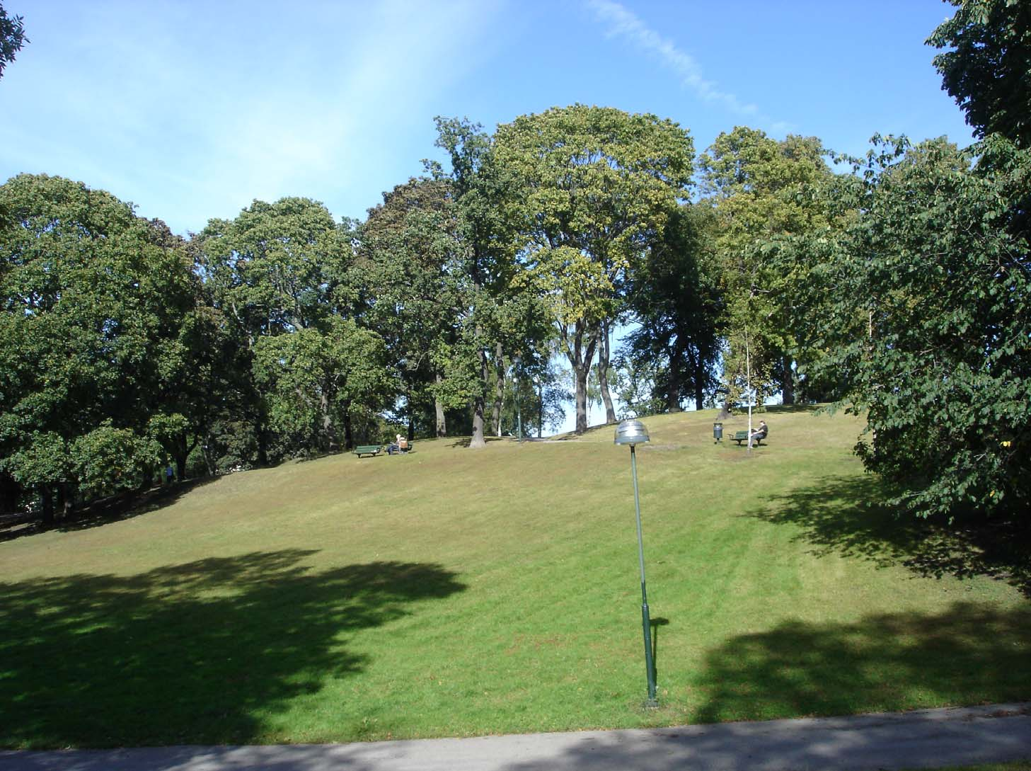 BERGSPARKER Definition enligt parkprogrammet: Halvöppen, kuperad park med stora lövträd i sluttande gräsytor. Terrasser förekommer.