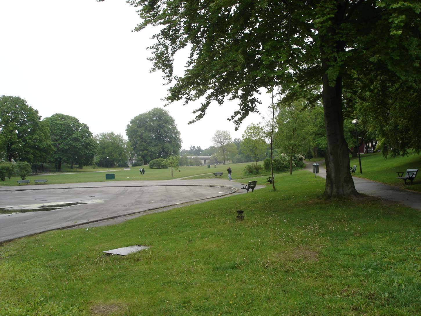 LANDSKAPSPARKER Definition enligt parkprogrammet: Öppen park ofta i dalstråk med skogsklädda sidor.