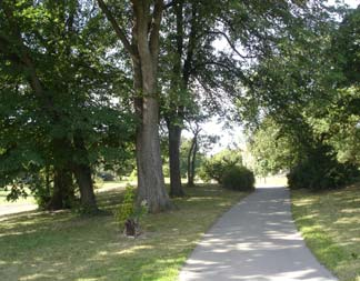 Analys Parken är ett unikt exempel på en park utformad enligt Stockholmsstilen och den är i relativt bra skick. Den stora plaskdammen håller på att upprustas.