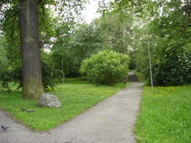 KRISTINEBERGSPARKEN (14) vid Olof Dalins väg Mål Bevara nuvarande karaktär och värden Historik Parken var ursprung-ligen del av ett natur-område med en bland-ning av barroch lövträd som till stora