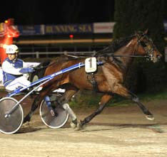 081015 Ny dubbel av Witasp 081021 Sergei överlägsen i debuten Yahaa Brodda tog en enkel seger efter ledning från start till mål. Efter en tids svacka är nu stall Witasp tillbaka i högform.