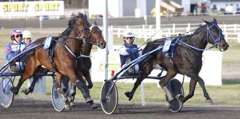 081021 Rocky Race klar för BC-final Under gårdagens tävlingar på Rommetravet kördes semifinaler till Breeders Crown för de treåriga grabbarna.