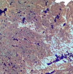 Satellitdata Förändringsanalysen i våtmarksövervakningen baseras på Landsat TM/ETM satellitdata från två tidpunkter med ca 10 års mellanrum.