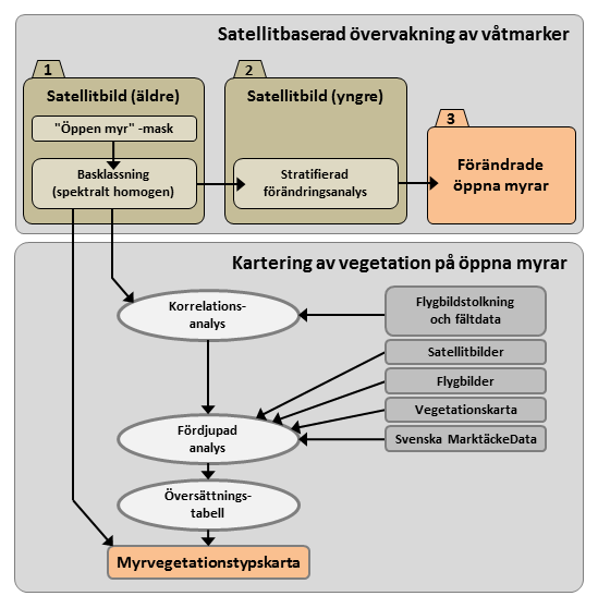 Tillvägagångssätt Basklassningen från våtmarksövervakningen används i detta projekt för att ta fram en myrvegetationstypskarta. Arbetet genomförs i flera steg (figur 12).