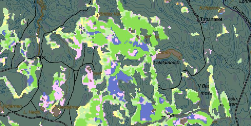 A B C Figur 23. Delområde 3 i Dalarna ca 3 km x 6 km enligt röd rektangel i figur 20. A) Flygfoto B) Satellitbild (Landsat TM, RGB = Band 453).