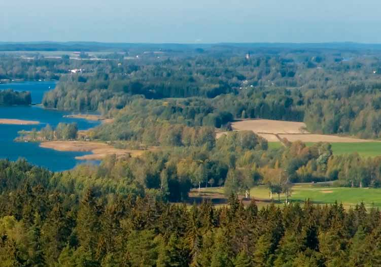 Välfärd och inflytande med samarbetsnätverk Närings-, trafik- och miljöcentralen i Nyland opererar i en för finländska förhållanden unik miljö.