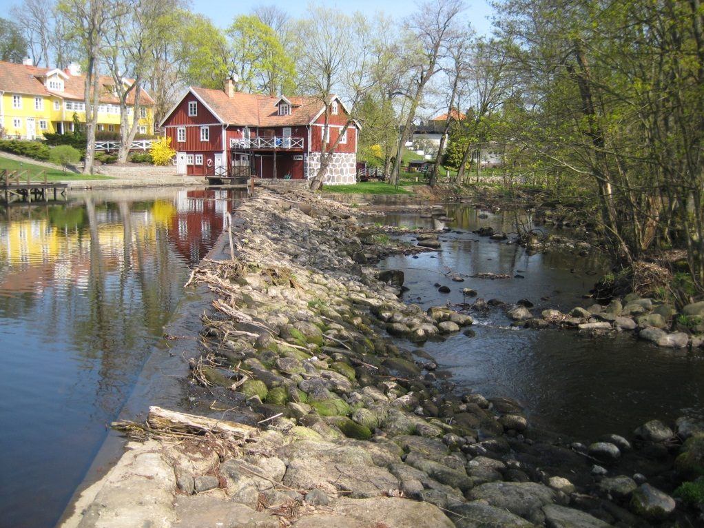 Förslag till fiskvägar för