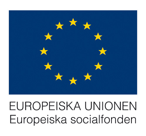 Vägledning inför utlysning hösten 2015 Socialfondsprojekt för