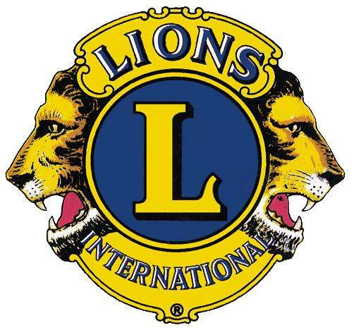 Lions Cup