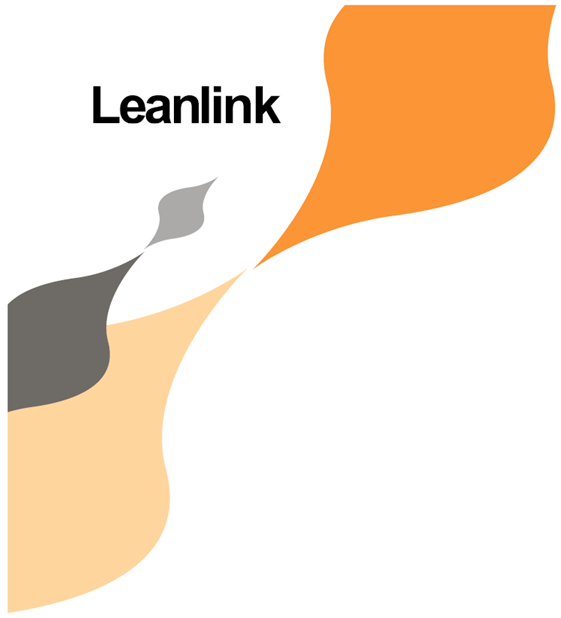 www.leanlink/lss