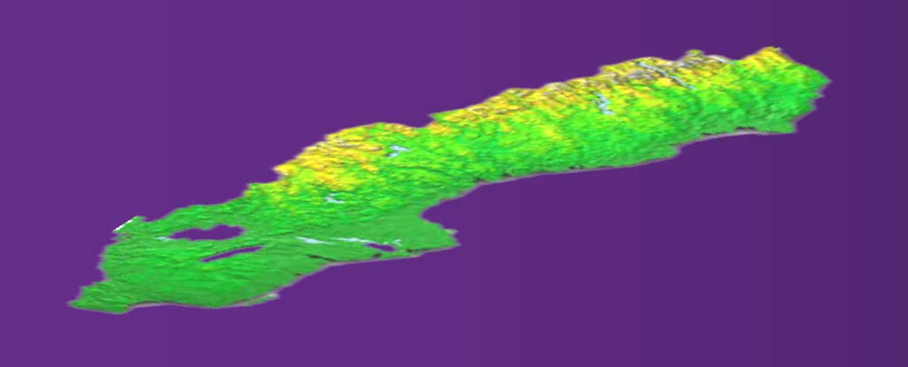 PTS har täckningskrav i alla låga band 450 MHz-bandet yttäckning 80 % av varje län, tal utomhus 900 MHz-bandet